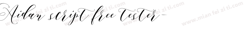 Aidan script free tester字体转换